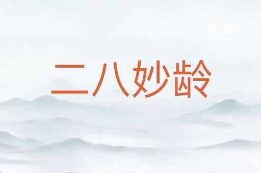 二八妙龄