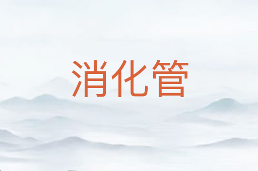消化管