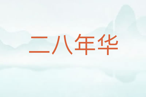 二八年华