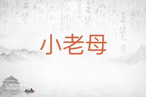 小老母