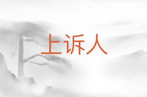 上诉人