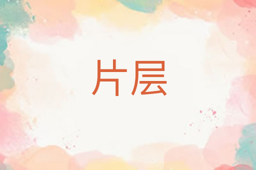 片层