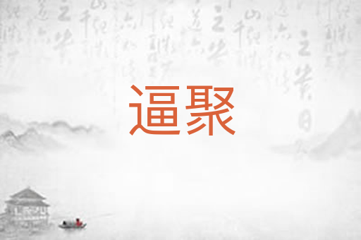 逼聚