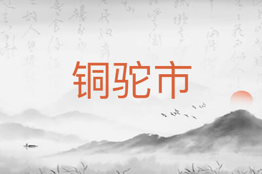 铜驼市