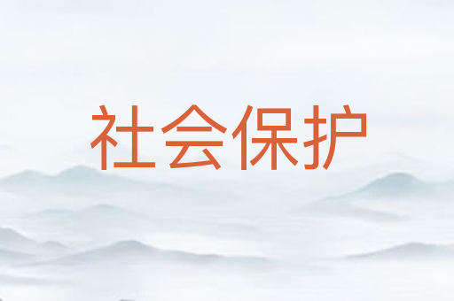 社会保护