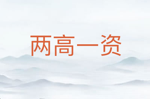 两高一资