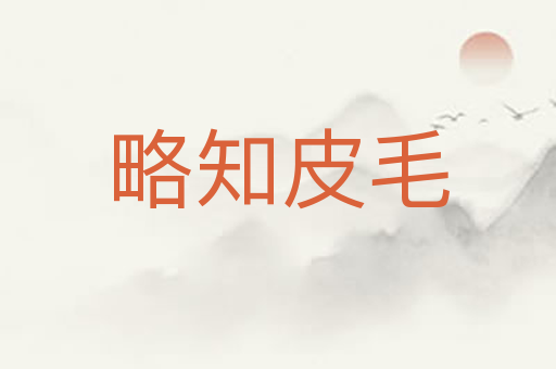 略知皮毛