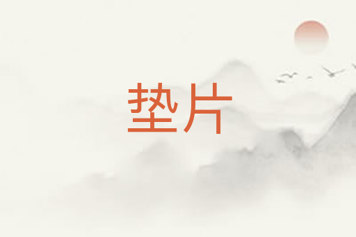 垫片