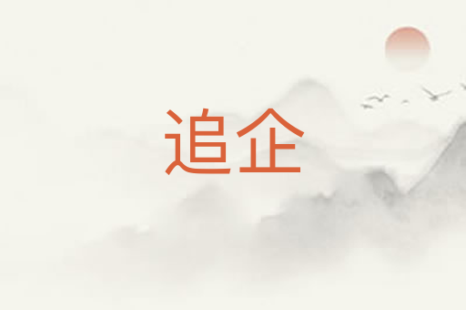 追企
