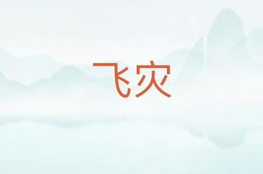飞灾