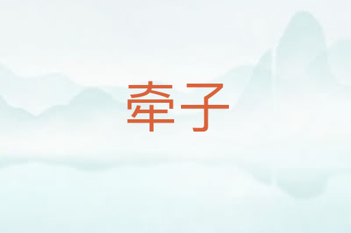 牵子