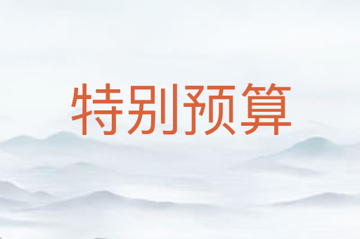 特别预算
