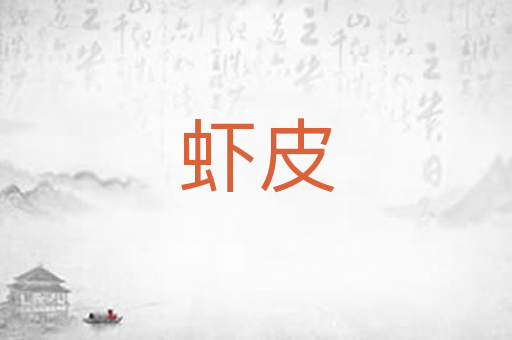 虾皮