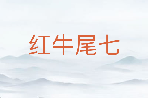 红牛尾七