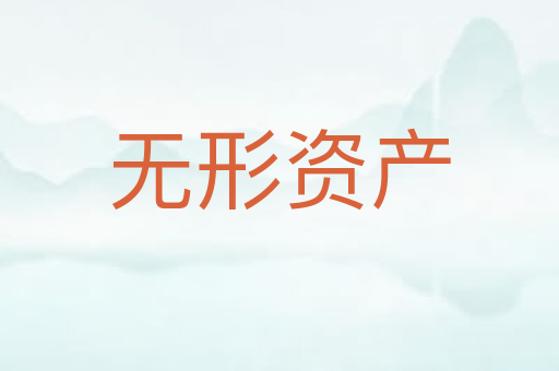 无形资产