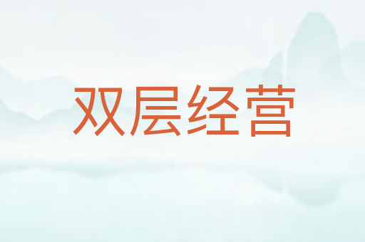 双层经营
