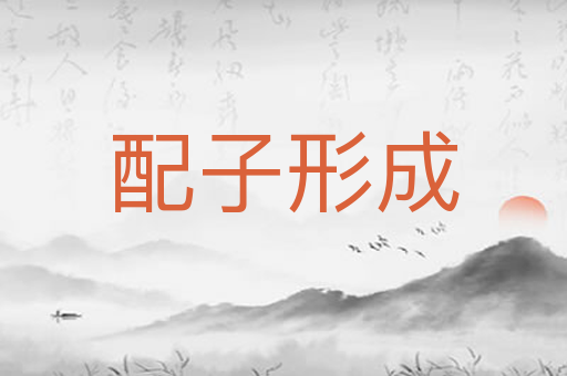 配子形成