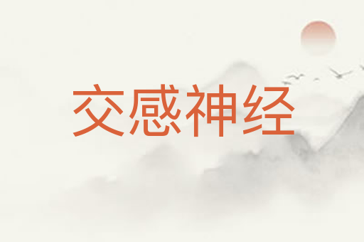 交感神经