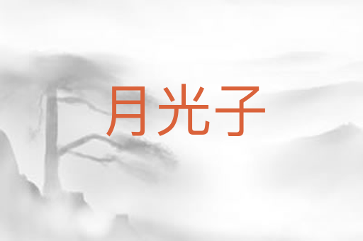 月光子
