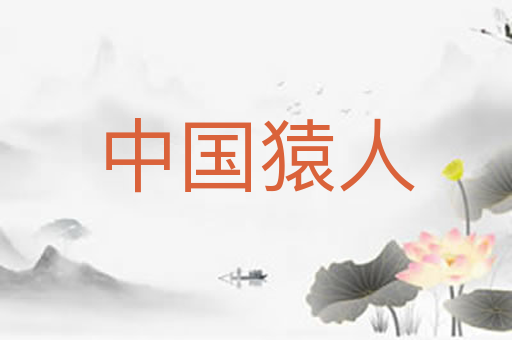 中国猿人