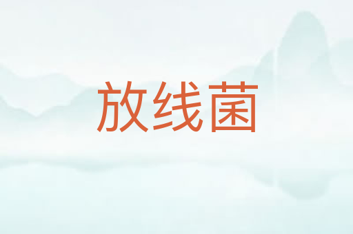 放线菌
