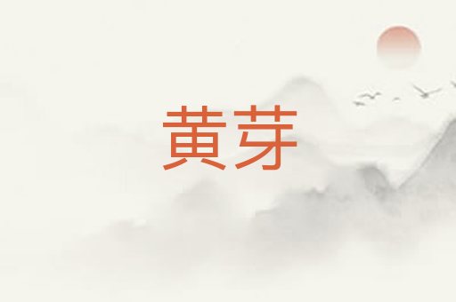 黄芽