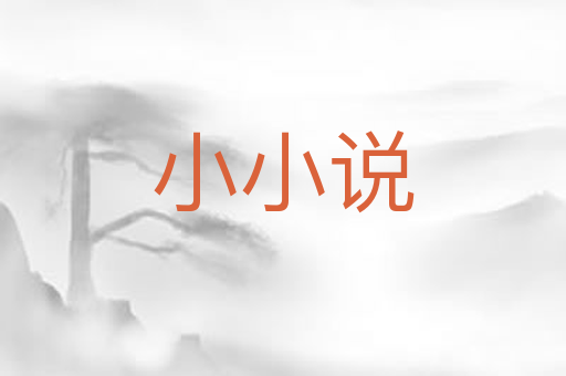 小小说