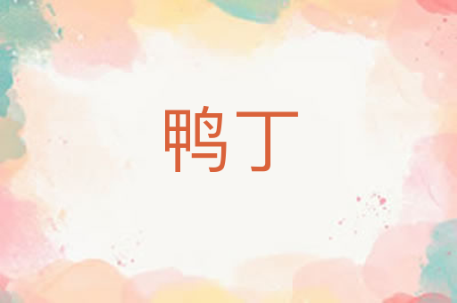 鸭丁