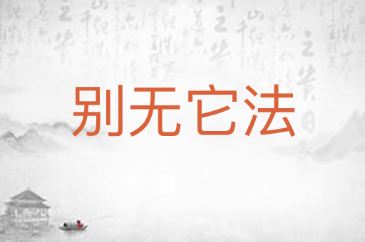 别无它法
