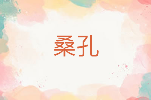 桑孔