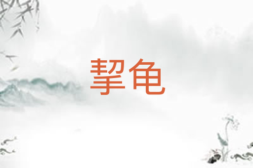 挈龟