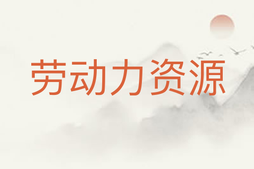 劳动力资源