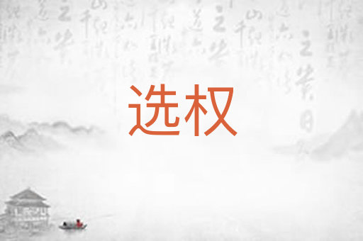 选权