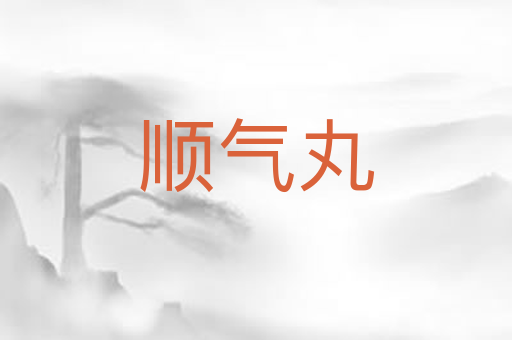 顺气丸