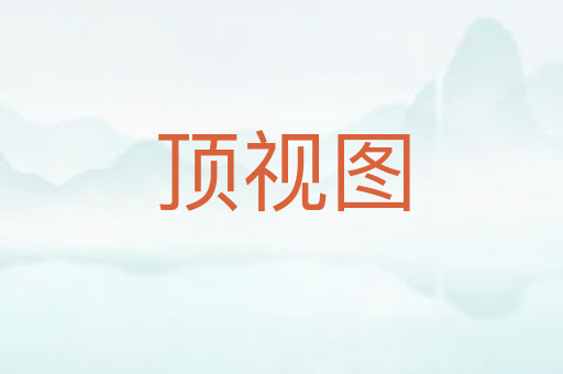 顶视图