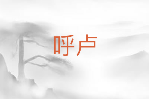 呼卢