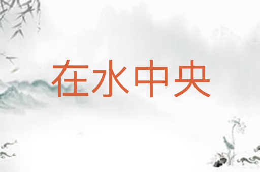 在水中央