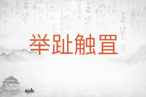举趾触罝