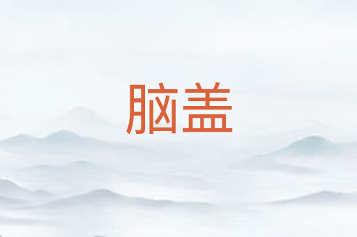 脑盖