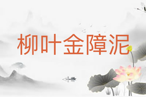 柳叶金障泥