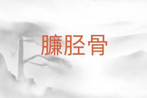 臁胫骨