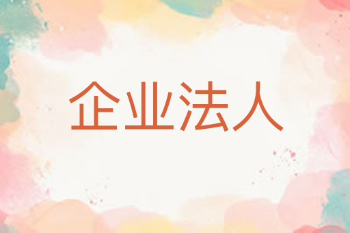 企业法人