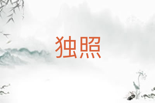 独照
