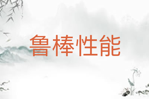 鲁棒性能