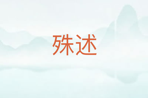 殊述