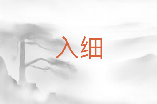 入细