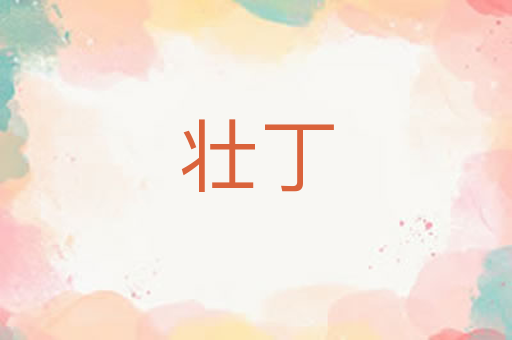 壮丁