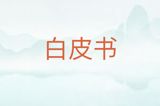 白皮书
