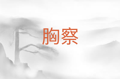 胸察