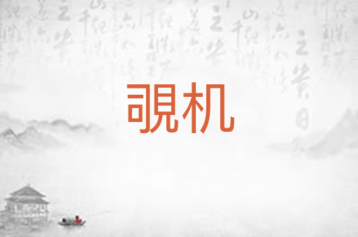 覗机